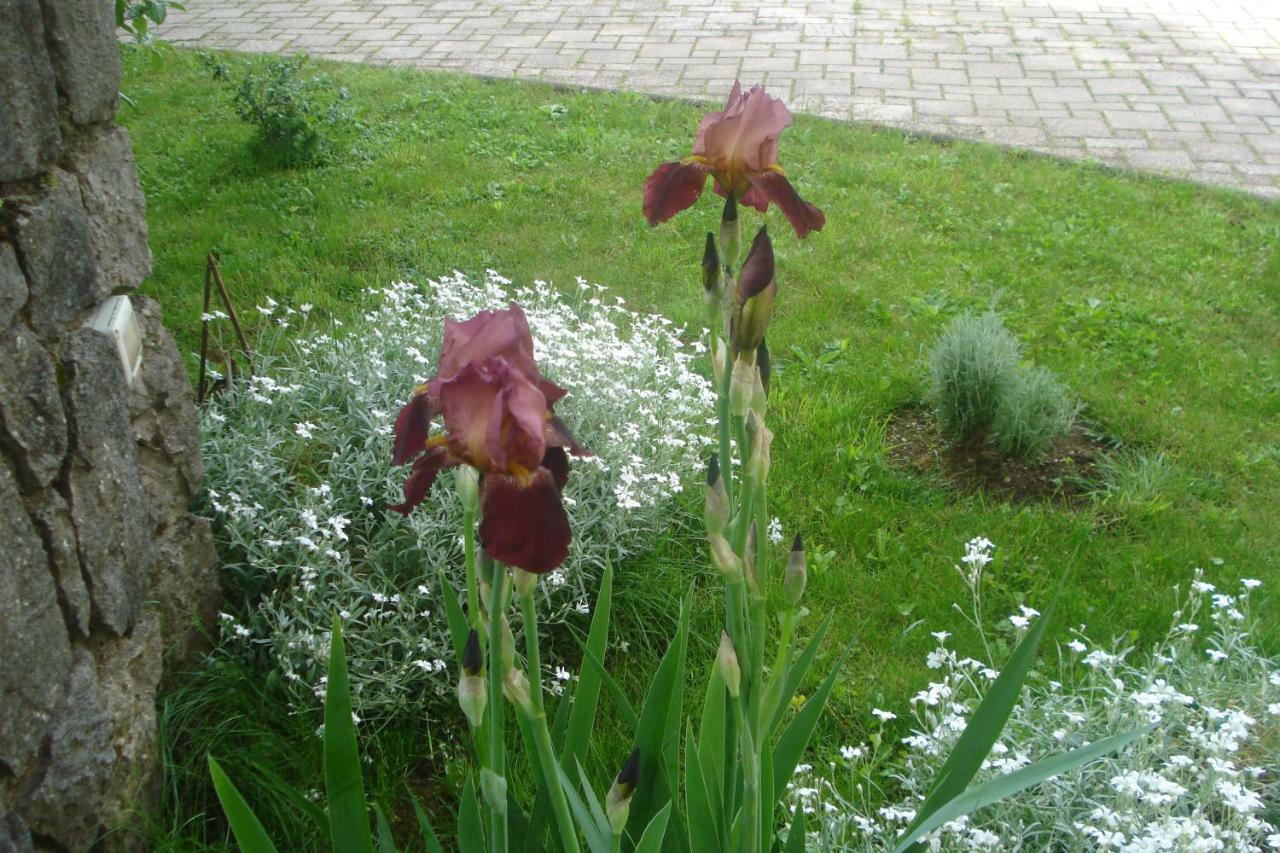 Apartmani Aldo Roc Luaran gambar
